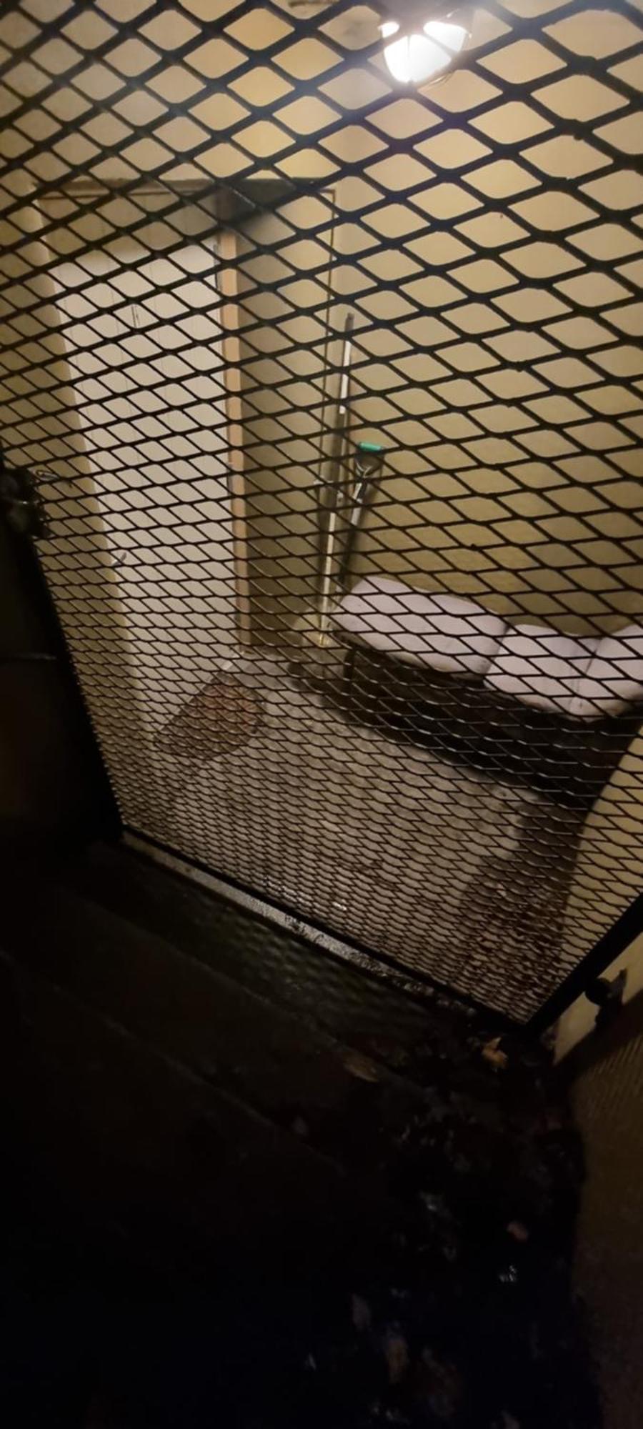Big And Cozy In The Middle Of